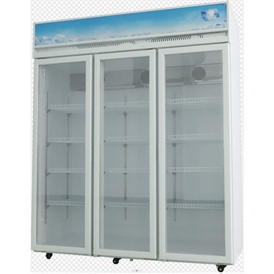 Small-Door Refrigerator